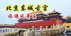 病人插护士小穴中国北京-东城古宫旅游风景区